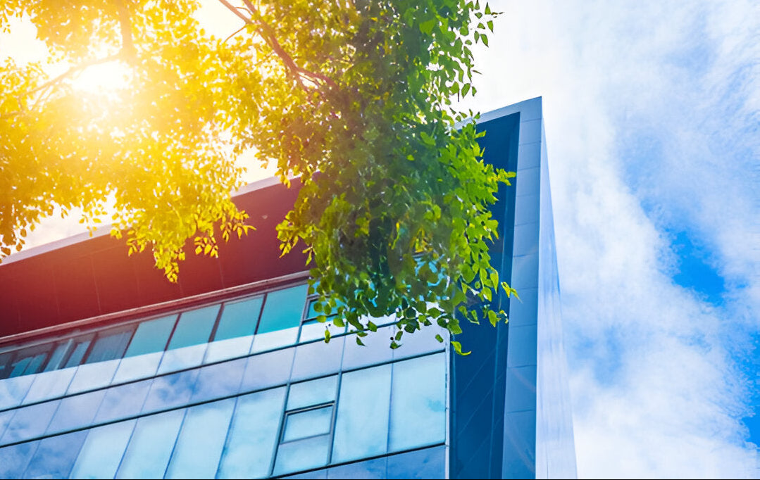 Commercial - Paint Protection Film